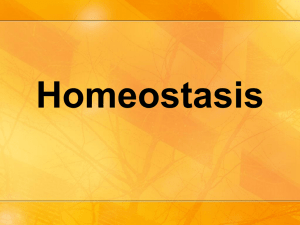 Homeostasis - ISGROeducation
