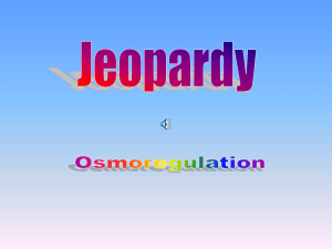 Osmoregulation Jeopardy