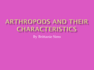 Arthropods and their Characteristics