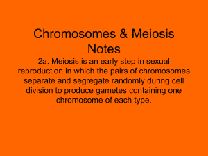1. Haploid female sex cell produced by meiosis.