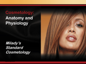 CH06-2006 FINAL Anatomy and Physiology