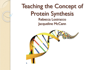 Teaching the Concept of Protein Synthesis Rebecca