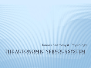 The Autonomic nervous system