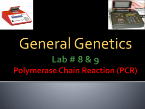Lab # 6 & 7 Polymerase Chain Reaction (PCR)