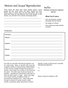 On Level Biology - Meiosis and Sexual Reproduction Outreach Notes