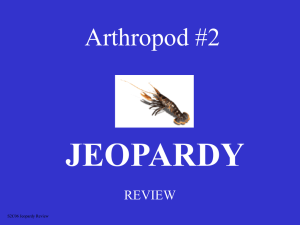 Arthropod Jeopardy #2 - local.brookings.k12.sd.us