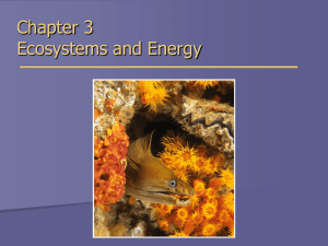Chapter 3 Ecosystems and Energy