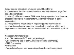 Gene expression (transcription)