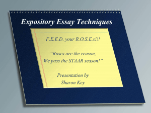 Expository Essay Techniques Power Point