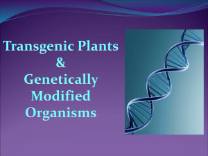 Benefits of Transgenic Plants
