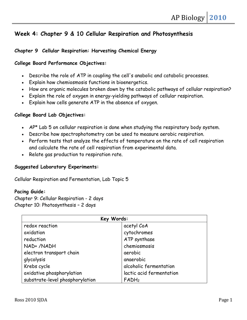 Chapter 9 Cellular Respiration And Fermentation Study Guide Answers ... - 009824396 1 A520DD9cfe7791efaD550976f3a7f2e8