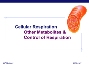 Chapter 9. Cellular Respiration Other Metabolites
