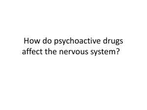 Drug effects on nervous system 13