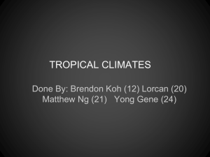 Tropical Climates 2i1 Matthew, Lorcan, Yong Gene, Brendon