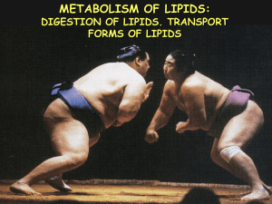 07. Metabolism of lipids 1