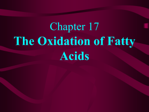 Chapter 16 The Catabolism of Fatty Acids