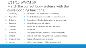 5/11/15 WARM UP Match the correct body systems with the