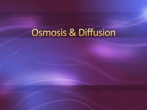 1 Osmosis Diffusion Notebook Format