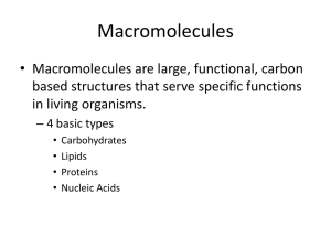 Macromolecules - Carbohydrates & Lipids