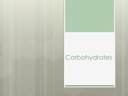 Carbohydrate Worksheet Answer Key