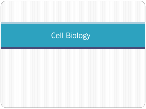 6 Cell Biology