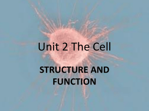 Unit 2 The Cell