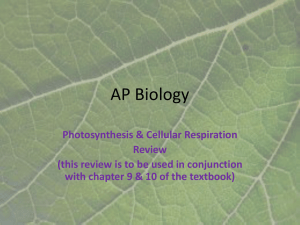 AP Biology - Northwest ISD Moodle