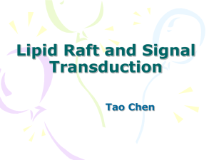 Lipid Raft and Signal transduction