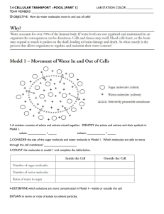 Model 2 – Osmosis in Plant and Animal Cells