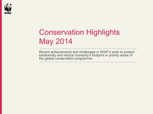 Conservation Highlights May 2013 - Panda