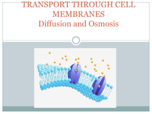 Diffusion and Osmosis