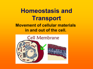 Homeostasis and Transport PowerPoint