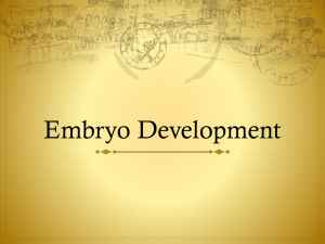 Embryo Development (embryo_development)