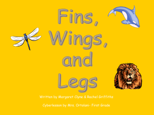 Wings, Fins and Feet