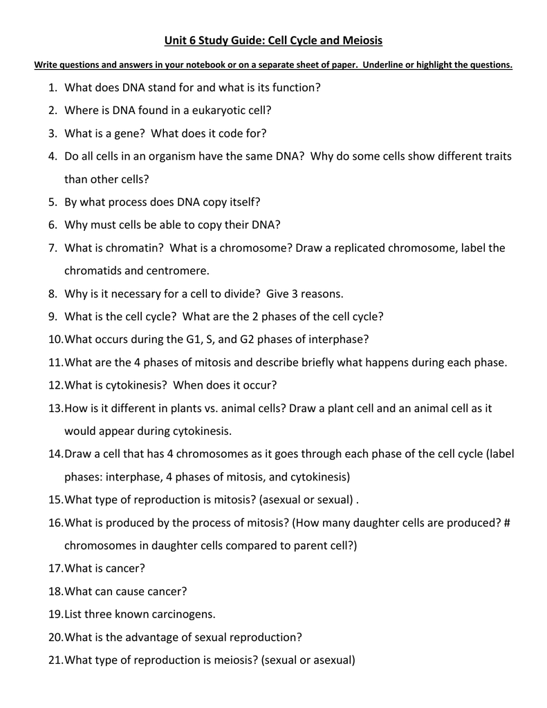 section-1-reinforcement-cell-division-and-mitosis-worksheet-answers