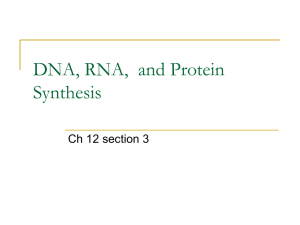 RNA and Protein Syntheis