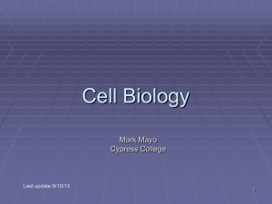 Cell Biology - Land of Mayo