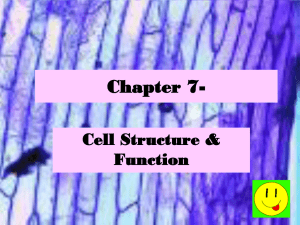 ch7I and II-use this 1st