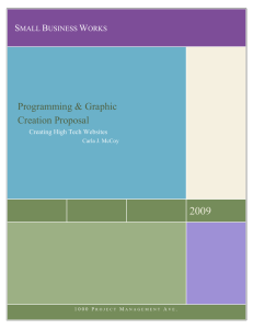 Programming & Graphic Creation Proposal