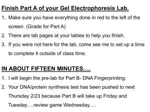 Finish Part A of your Gel Electrophoresis Lab.