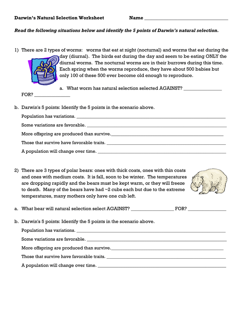 Darwin*s Natural Selection Worksheet Throughout Darwin Natural Selection Worksheet