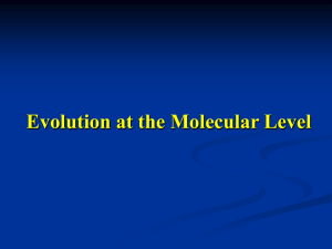 Evolution of mouse globin superfamily