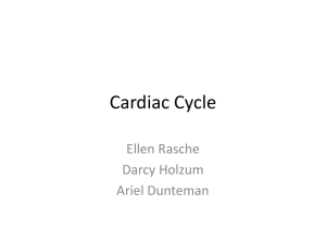 Cardaic Cycle
