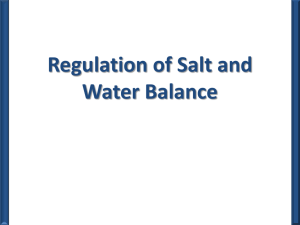 Salt and Water Balance