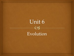 Unit 6 - Evolution