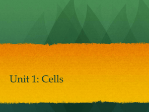 Unit 1: Cells - tasokbiology