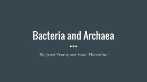 Bacteria and Archaea