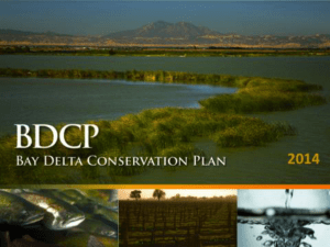 What is the Bay Delta Conservation Plan?