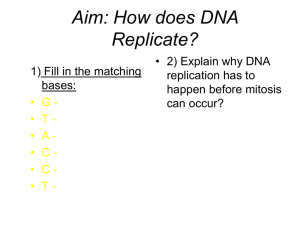 Aim: How does DNA Replicate?