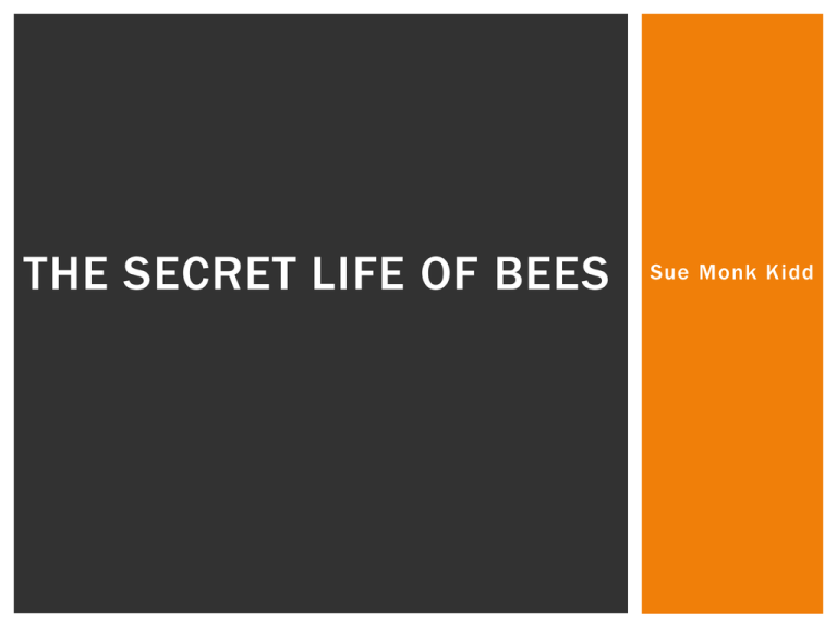 personification in the secret life of bees